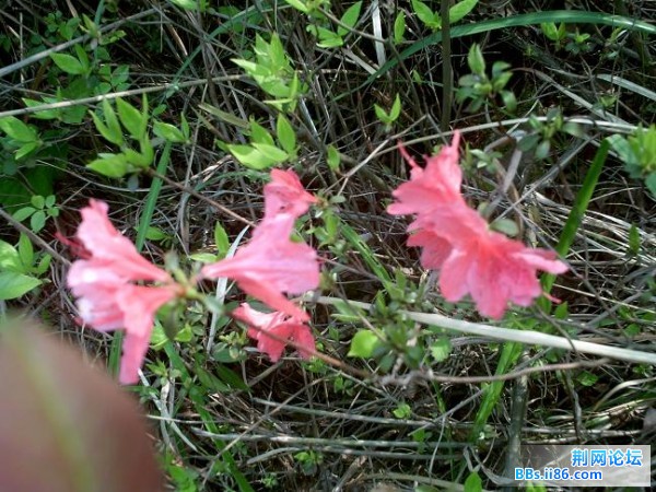 PICT0342.JPG