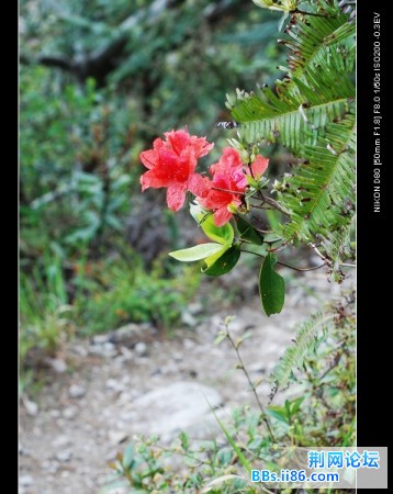 DSC_2483_nEO_IMG.jpg