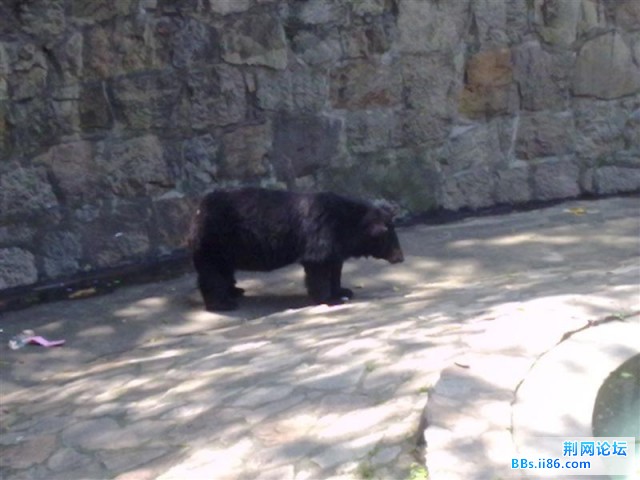 20090501539 (中等).jpg