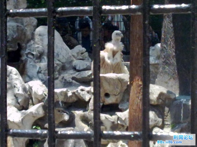 20090501504 (中等).jpg