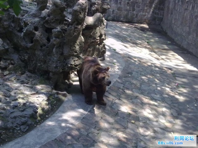 20090501546 (中等).jpg