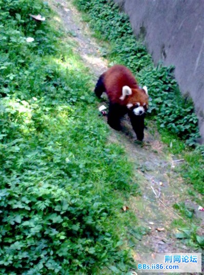 20090501559 (中等).jpg