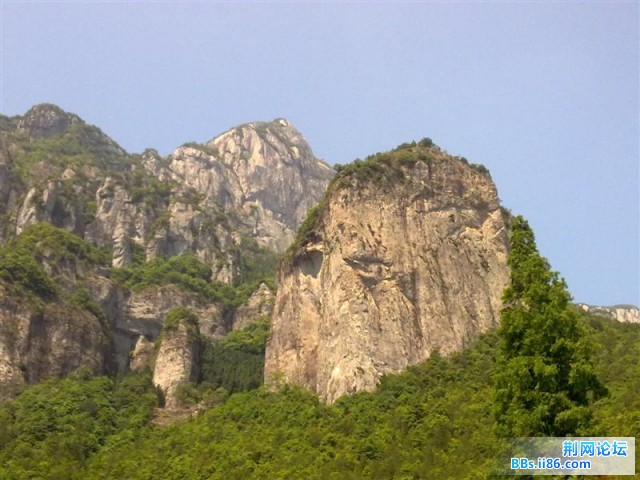 20090510652 (中等).jpg