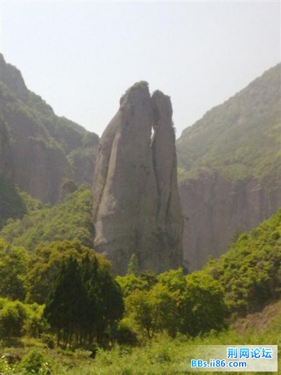 20090510653 (中等).jpg
