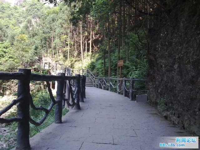 20090510681 (中等).jpg