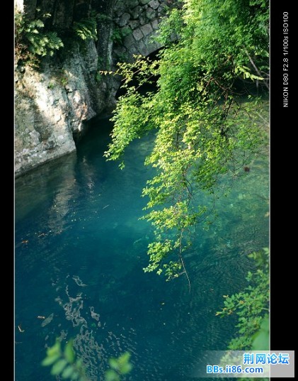 DSC_3304.jpg