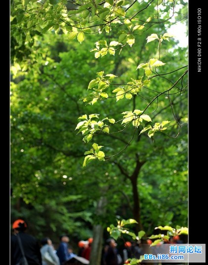DSC_3305.jpg