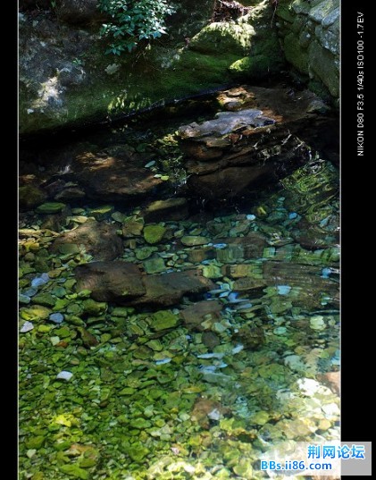 DSC_3388.jpg