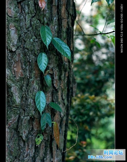 DSC_3355.jpg