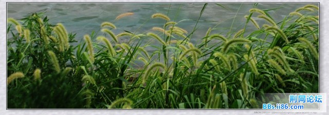 nEO_IMG_DSC_5112.jpg