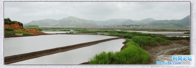 nEO_IMG_DSC_5116.jpg