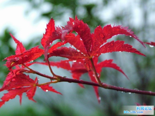 DSCF5199.JPG