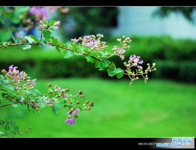 nEO_IMG_DSC_5543.jpg