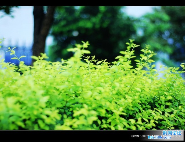 nEO_IMG_DSC_5549.jpg