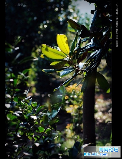 nEO_IMG_DSC_5651.jpg