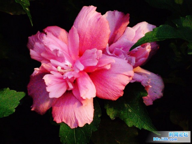 DSCF0755.JPG