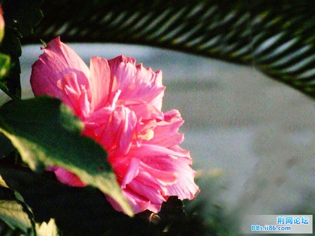 DSCF0759.JPG