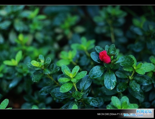 nEO_IMG_DSC_5864.jpg