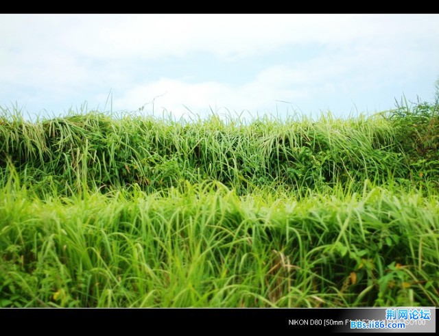 nEO_IMG_DSC_5910.jpg