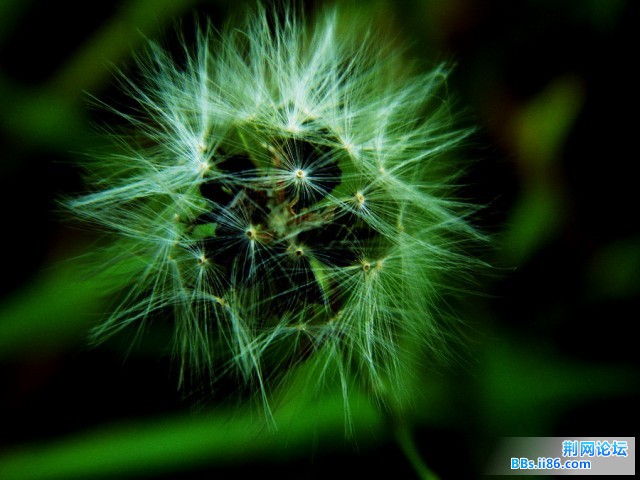 DSCF0778.jpg