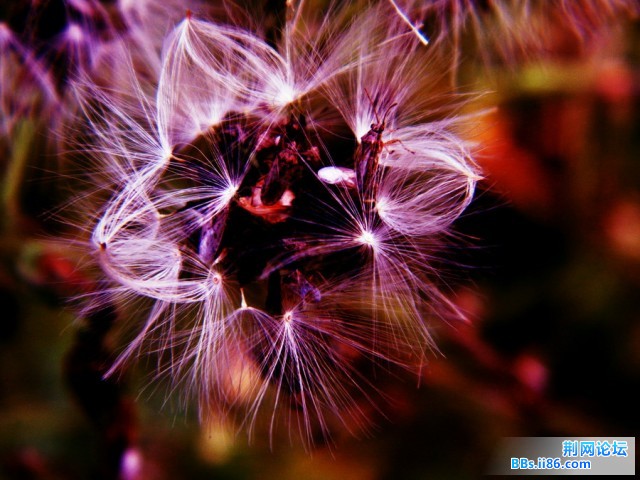 DSCF0812.jpg