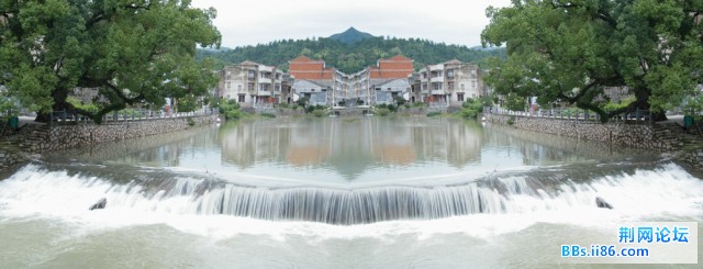 溪坦樟树下(224 KB ).jpg