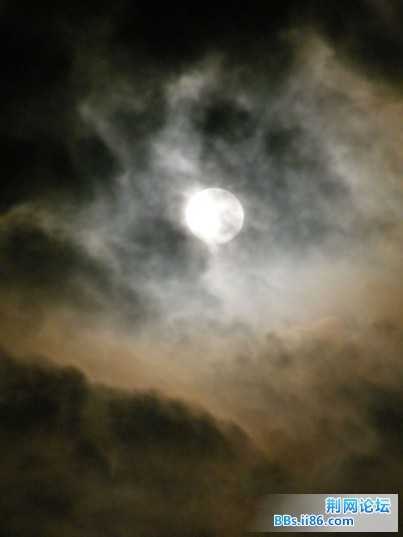 DSCF1502实拍.jpg
