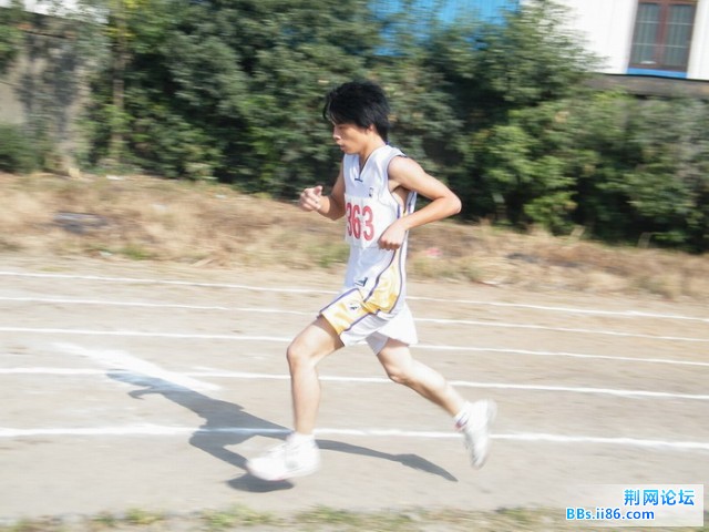 DSCF2828.JPG