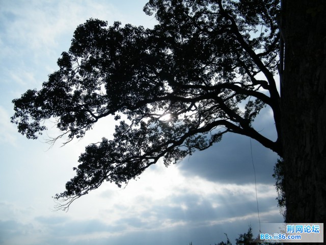 DSCF3543.JPG