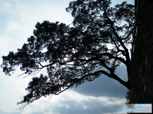 DSCF3545.JPG