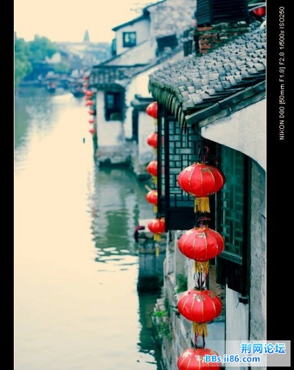 nEO_IMG_DSC_7435.jpg