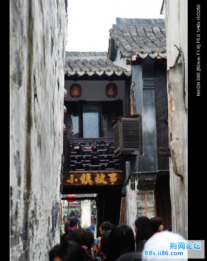 nEO_IMG_DSC_7387.jpg
