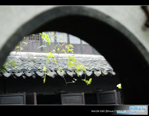 nEO_IMG_DSC_7466.jpg