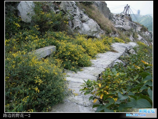 DSCF3672.JPG
