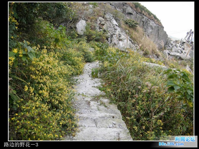 DSCF3671.JPG