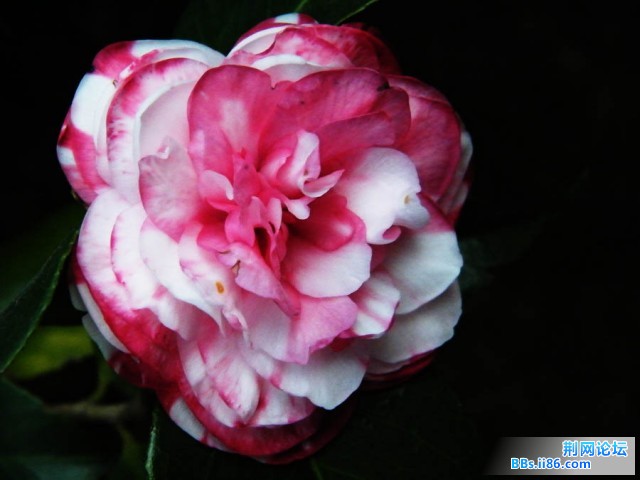 DSCF2985.JPG