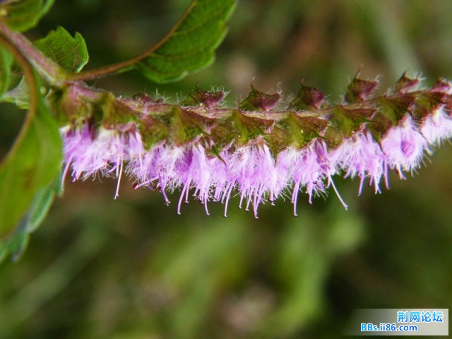 DSCF3514.JPG