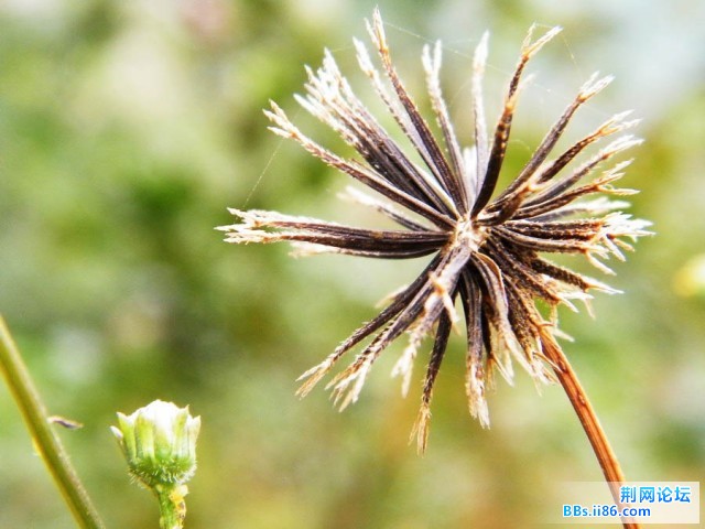 DSCF3518.JPG