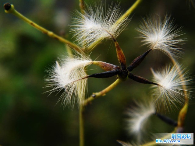 DSCF3629.JPG