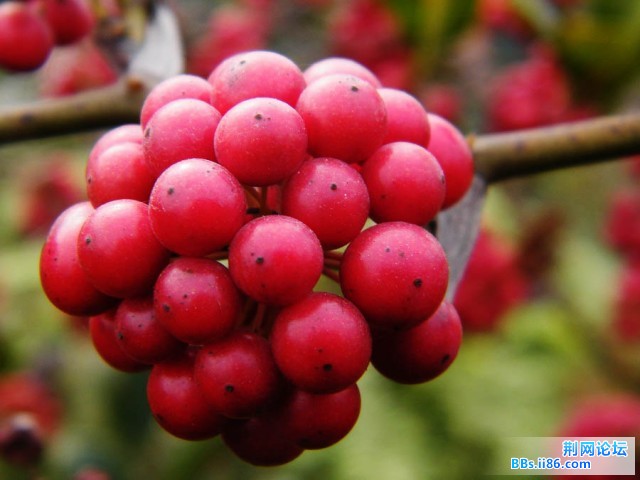 DSCF3626.JPG