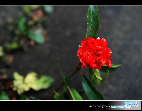 nEO_IMG_DSC_7569.jpg