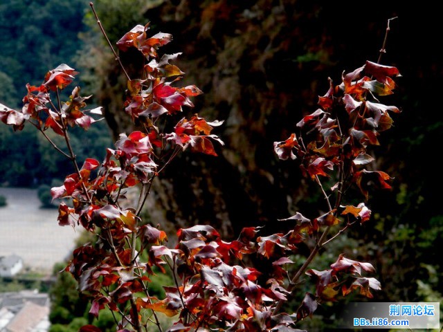 DSCF3829.JPG