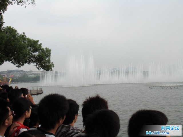 DSC02816.jpg