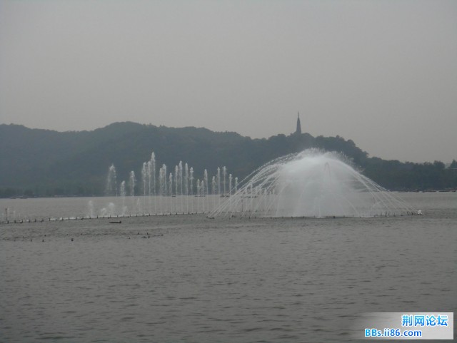 DSC02848.jpg