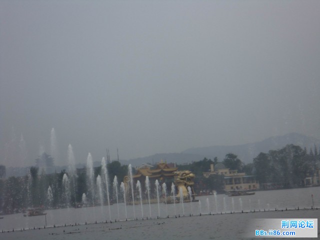 DSC02832.jpg