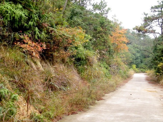 秋冬景色DSCF5366.JPG