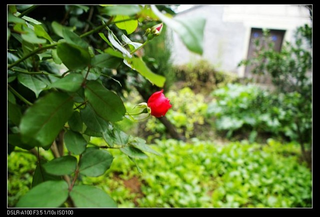 nEO_IMG_DSC02840.jpg