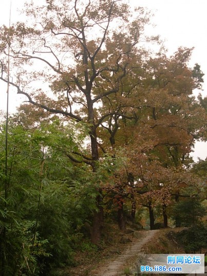 DSCN2766.JPG