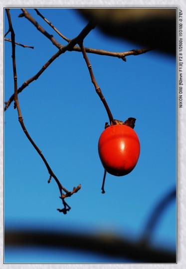nEO_IMG_DSC_7806.jpg