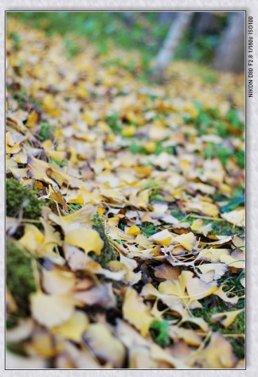 nEO_IMG_DSC_7875.jpg